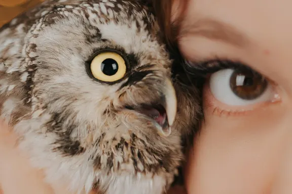 Casino Welcome Bingo Suporte